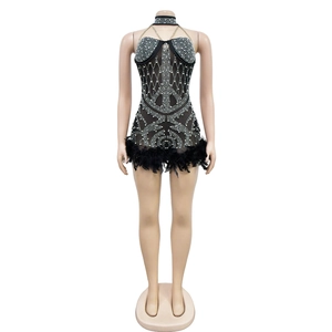 Detail of sheer mesh jumpsuit with silver rhinestones and black feather hemline decoration