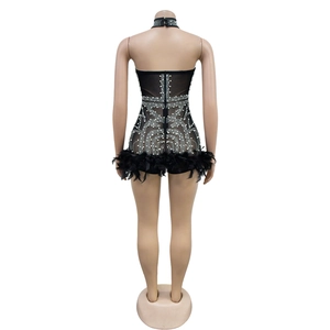 Detail of mesh bodysuit with silver rhinestones and black feather hem for party wear