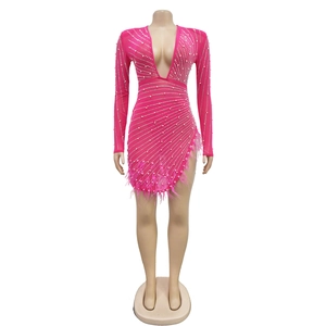 Detail view of pink mesh dress featuring luxury rhinestones and pink feather hemline