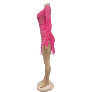 Detail view of hot-drilled mesh mini dress featuring white pearls and feather fringe