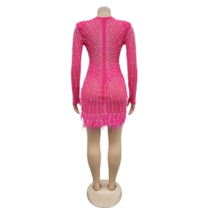Detail showing hot-fix rhinestones and faux feather trim on fuchsia mesh party dress