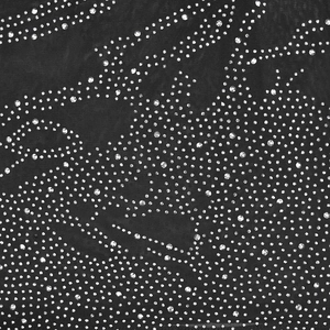 Detail of black mesh fabric featuring intricate silver rhinestone patterns on the dress