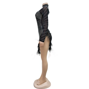 Detail of black mesh dress with sparkling silver rhinestones and ostrich feather trim