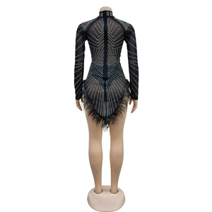Detail of black mesh bodysuit with silver rhinestones and feathered hem on the back