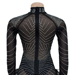 Detail of black mesh bodysuit with silver rhinestones and feather trim on the back