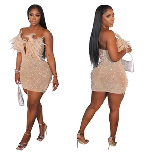 Detailed view of champagne mesh dress with white faux pearls and light yellow feathers