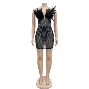 Close-up of black mesh dress featuring dense feather neckline and sparkling rhinestones