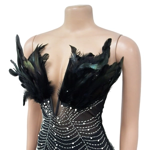 Detailed view of black dress featuring deep V neck with mesh, rhinestones and feathers