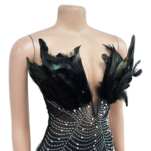Detail of sequin web patterns and black feather neckline on an elegant mesh dress