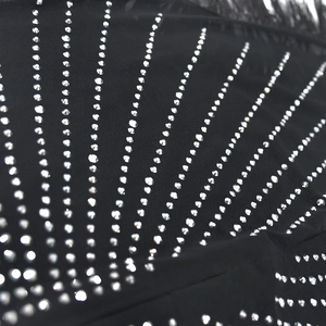 Close-up of black mesh dress featuring silver rhinestones and delicate feather trim