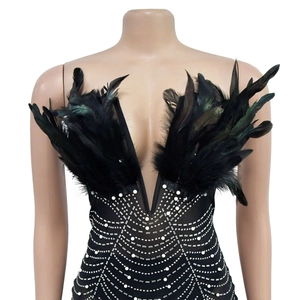 Detail of black deep V-neck dress featuring mesh fabric with rhinestones and feathers