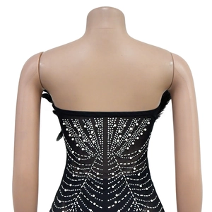 Detailed back view of black sheer mesh dress with silver rhinestones and feathers