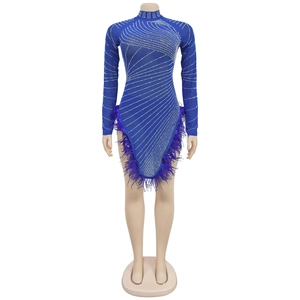 Detail of royal blue mesh dress with silver rhinestones and purple feather trim