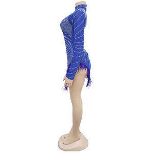 Detail of royal blue bodysuit featuring sparkling rhinestones and elegant feather trim