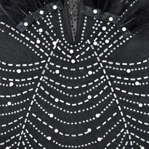 Detail of black mesh dress with feathers, faux pearls, and rhinestone embellishments