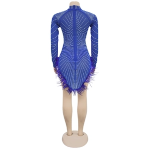 Detail of navy mesh dress featuring silver rhinestones and purple feather fringe