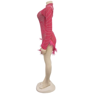 Detail of red mesh dress showing sparkling rhinestones and pink feather fringe hem