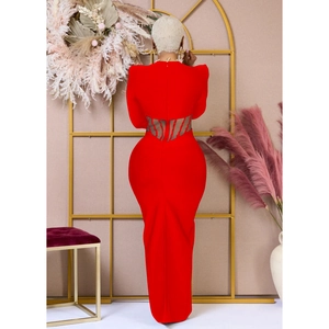 Detail view of red bodycon dress featuring sheer mesh stripes and backless design elements