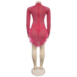 Detail view of fuchsia mesh mini dress featuring sparkling silver rhinestones and feathers