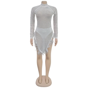 Close-up of white mesh dress featuring silver rhinestones and elegant feather trim detail