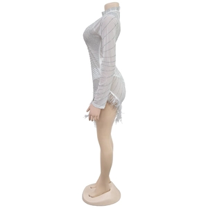 Detail of white mesh dress featuring shimmering silver rhinestones and delicate feather trim