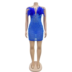 Detail of royal blue mesh mini dress with feather trim and sparkling rhinestone patterns