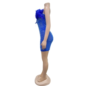 Detailed view of blue mesh mini dress with elegant feathers and white beadwork