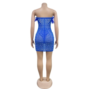Detail of royal blue mini dress featuring white pearls and feather trim on the back