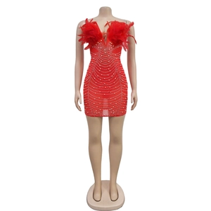 Detail of red party dress with sparkling rhinestones and elegant feather bust trimming