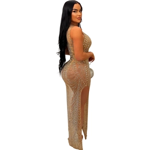 Close-up of nude mesh dress with silver rhinestones and a high-slit sexy design