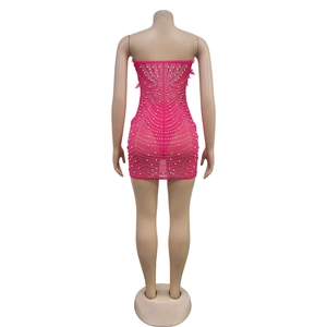 Detail of rose pink mini dress featuring mesh fabric with pearls and feather trim accents