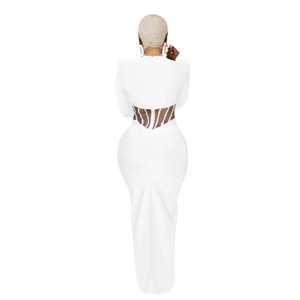 Detailed back view of white slim fit maxi dress with zebra mesh cutout and hidden zipper