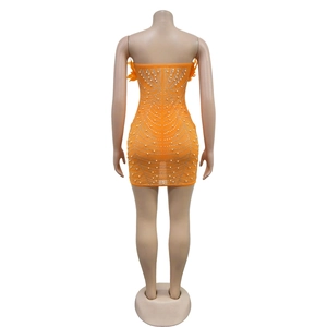 Rear view of orange mesh mini dress featuring rhinestones, pearls and feather trim