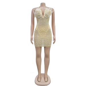 Detail of elegant mesh dress with plush feathers, faux pearls and shimmering sequins
