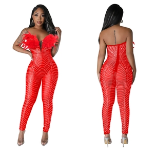 Detail eines roten Mesh-Jumpsuits mit funkelnden Strasssteinen und luxuriösen Straußenfedern