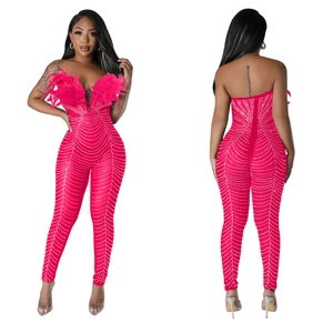 Detail eines rosenroten Mesh-Jumpsuits mit Strasssteinen und Federbesatz am Mieder