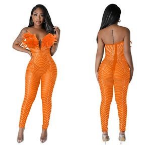 Detailaufnahme des orangefarbenen Mesh-Jumpsuits mit Straußenfedern und Strasssteinen