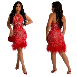 Détails de la robe dos nu rouge ornée de strass argentés et de bordures en plumes élégantes