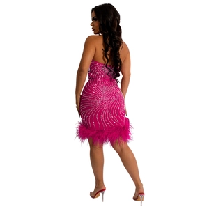 Détails du dos d'une robe rose fuchsia avec strass et bordure en plumes roses
