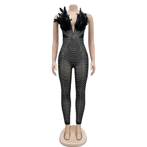 Detailansicht eines Mesh-Jumpsuits mit V-Ausschnitt, schwarzen Federn und Strasssteinen
