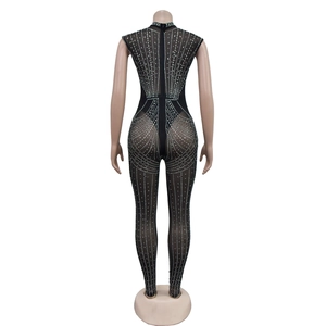 Close-up of black mesh jumpsuit with vertical silver rhinestones and back zipper detail