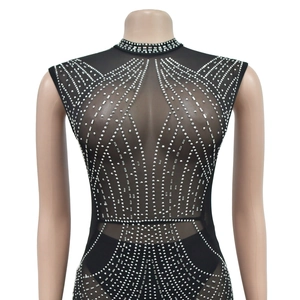 Detail of sheer black mesh bodysuit with silver rhinestones and elegant stand collar