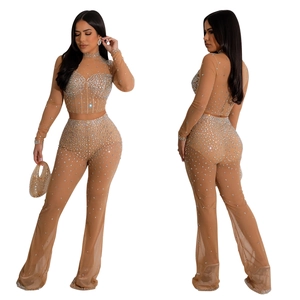 Detail view of mesh two-piece set featuring silver rhinestones on nude long sleeve top and pants