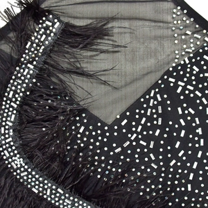 Détail du tissu en maille noire avec strass argentés et bordure en plumes délicates