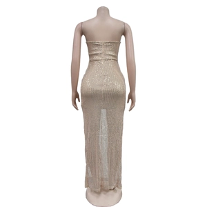 Detailed back view of champagne gold sequined maxi dress with long zipper closure