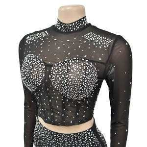 Detail of sheer black mesh top featuring sparkling silver rhinestones and high neck design