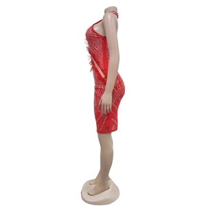 Détail de mini robe moulante rouge avec strass argentés et décoration de plumes