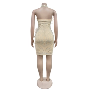 Détail du dos d'une robe moulante à strass avec des plumes blanches et un tour de cou assorti