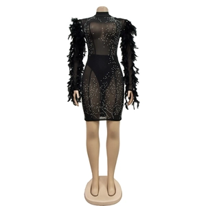 Détail d'une robe en mesh ornée de strass argentés et de plumes noires aux poignets