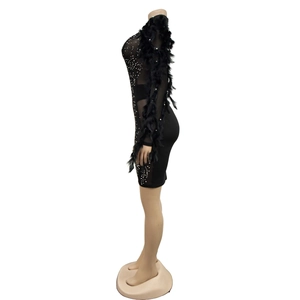 Détail des manches en résille avec plumes noires et strass sur la robe moulante